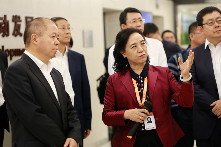 工信部副部长王江平一行莅临雄帝调研指导工作